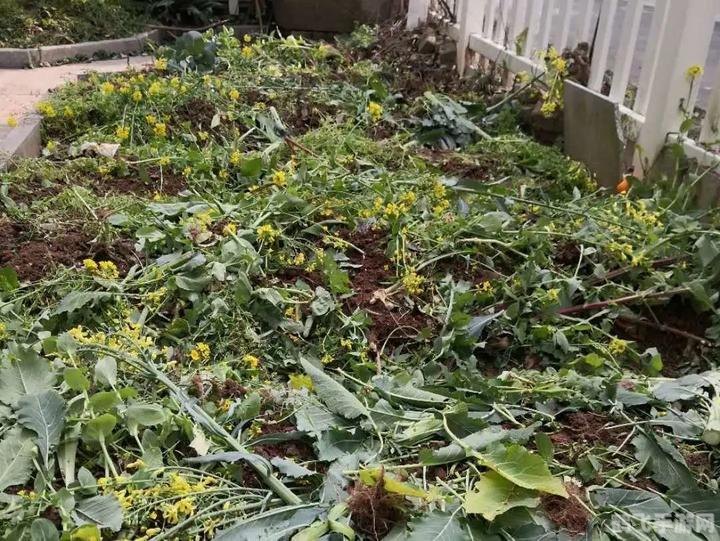 qq解冻中心,QQ解冻中心，手游账号解冻全攻略，让你轻松恢复游戏乐趣！