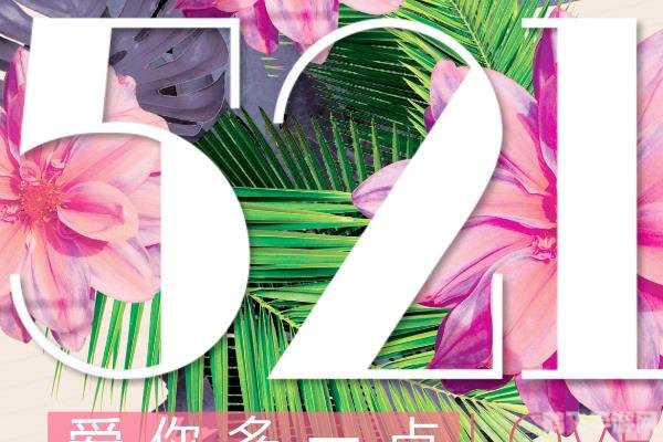 521个我爱你复制,521个我爱你