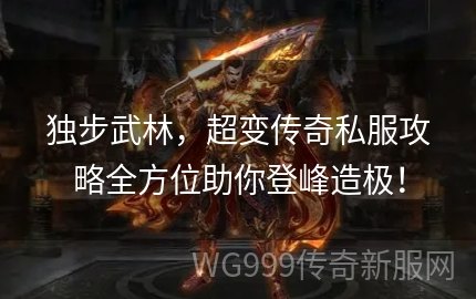 变态传奇似服发布网,变态传奇手游攻略,独步武林的秘诀大揭秘!