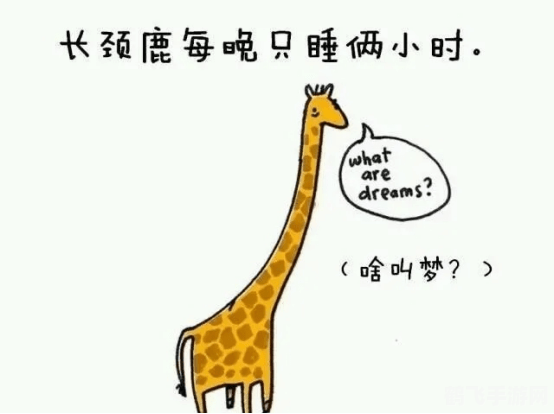 长颈鹿每天睡多长时间,长颈鹿的梦境冒险，手游攻略与玩法全解析