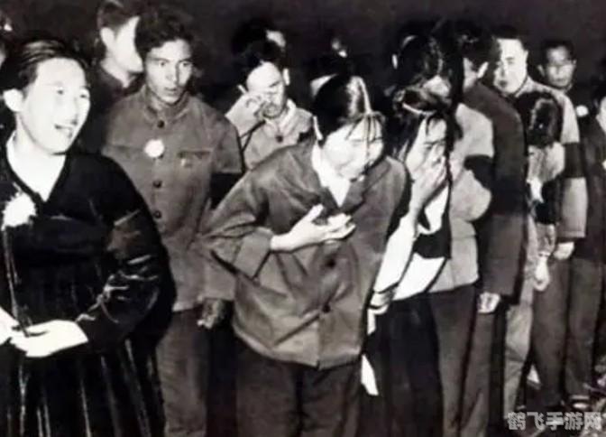 车猫证书成语手游攻略,解锁成语之谜