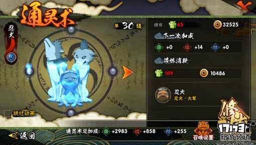 火之意志的继承者,火影忍者手游火之意志继承者攻略，卑留呼的技能与玩法解析