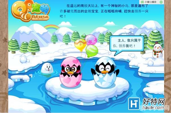 qq宠物怎么领养,QQ宠物领养全攻略,轻松领养你的虚拟小伙伴