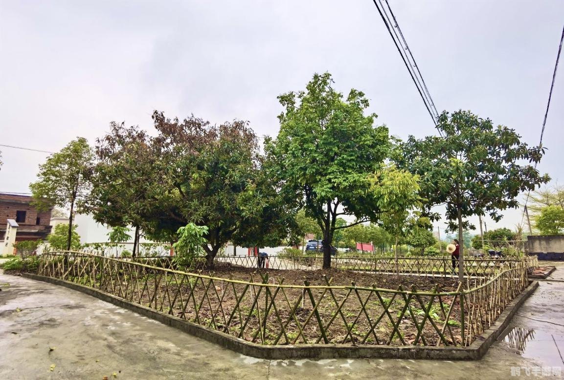 QQ农场登录全攻略,一步步带你进入农场世界