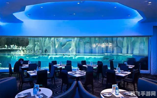 企鹅餐厅2手游攻略,打造顶级企鹅美食帝国