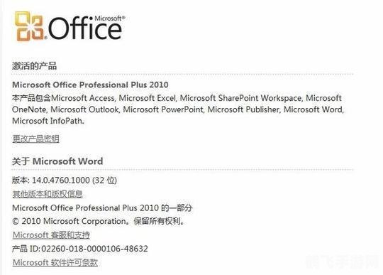 office 2010 序列号,Office 2010序列号背后的故事，手游Office Quest攻略与玩法