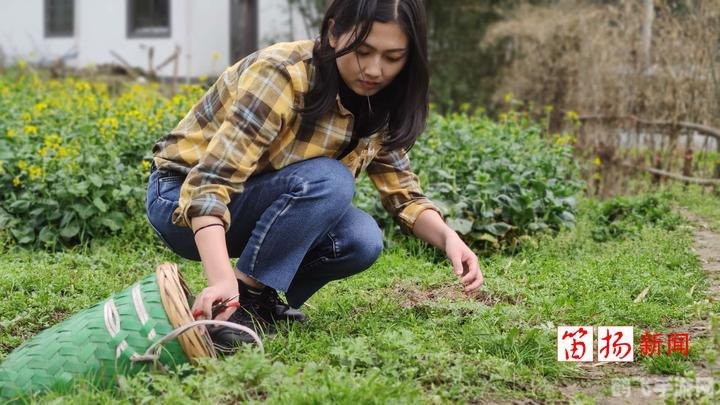 咬春吃哪种蔬菜,咬春必备蔬菜及手游攻略,探索春天的味蕾与游戏奥秘