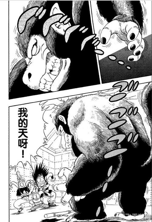 新龙珠格斗2007手游攻略,成为格斗大师的秘诀