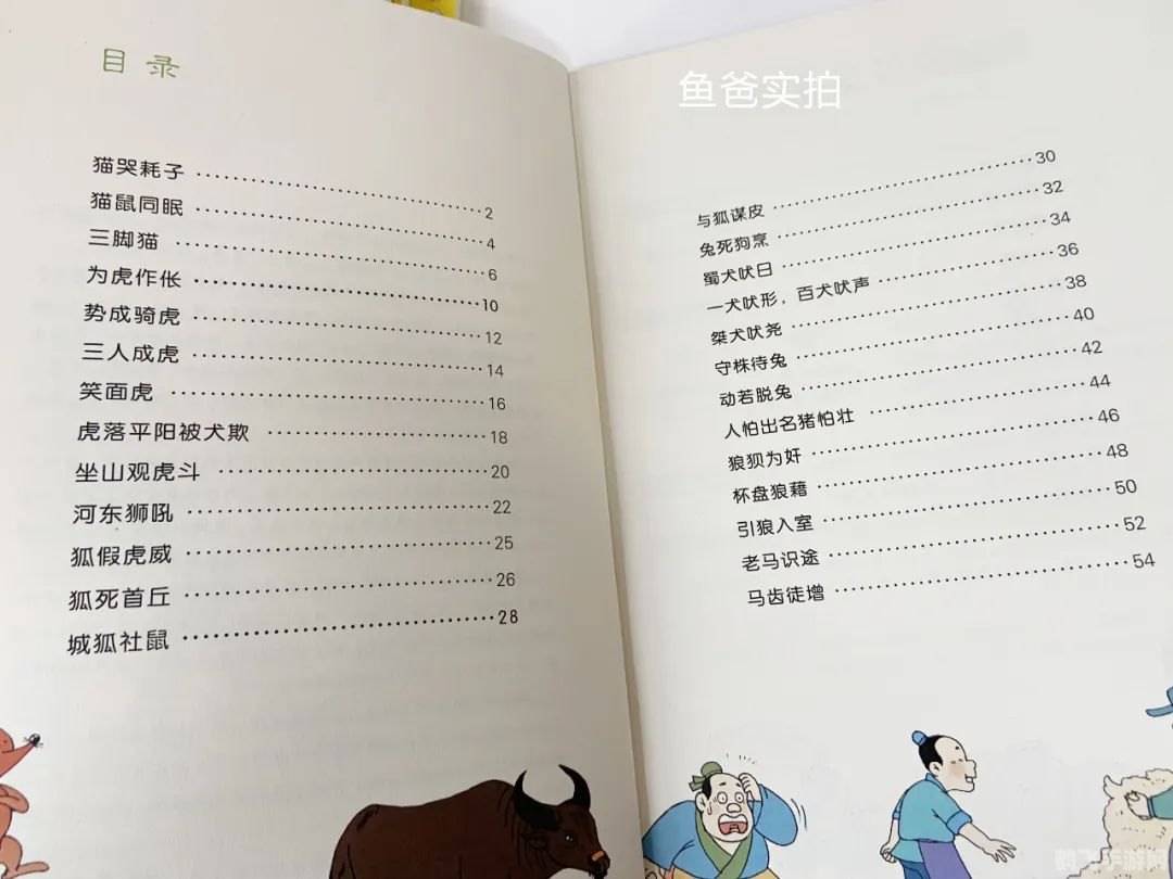 第十一本书是什么成语,一、谜题解析