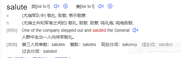 salute什么梗,揭秘salute梗背后的故事，探索手游新玩法