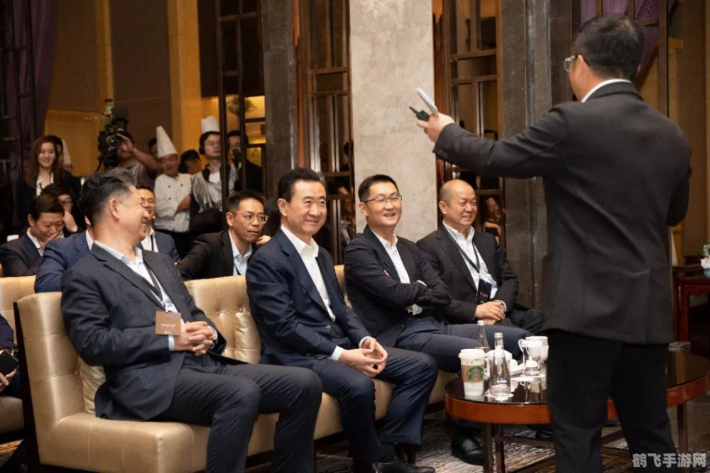 王健林大咖一日行,揭秘手游玩法与攻略,带你玩转游戏世界!