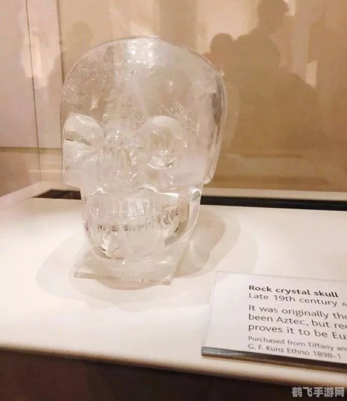 麦泽利安的头颅