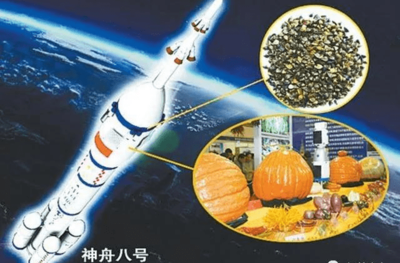 神舟八号时间,神舟八号探秘之旅，手游攻略与玩法大揭秘