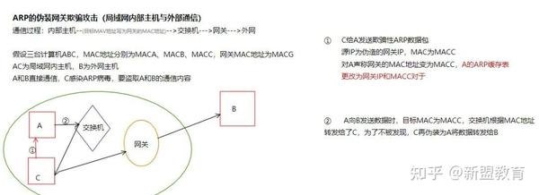 ARP病毒专杀，手游攻略与玩法详解，助你成为顶尖玩家