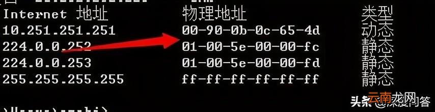 ARP病毒专杀，手游攻略与玩法详解，助你成为顶尖玩家