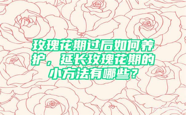 玫瑰花到期了手游攻略,如何巧妙应对过期的玫瑰花挑战