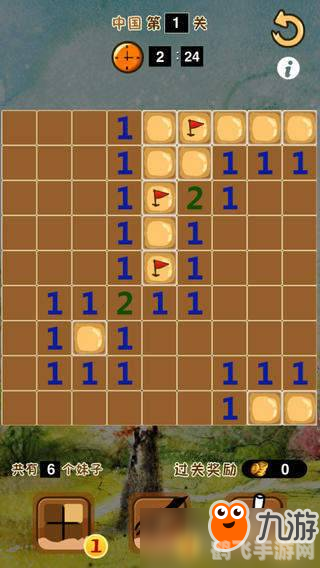 扫雷游戏攻略,探雷技巧与玩法详解