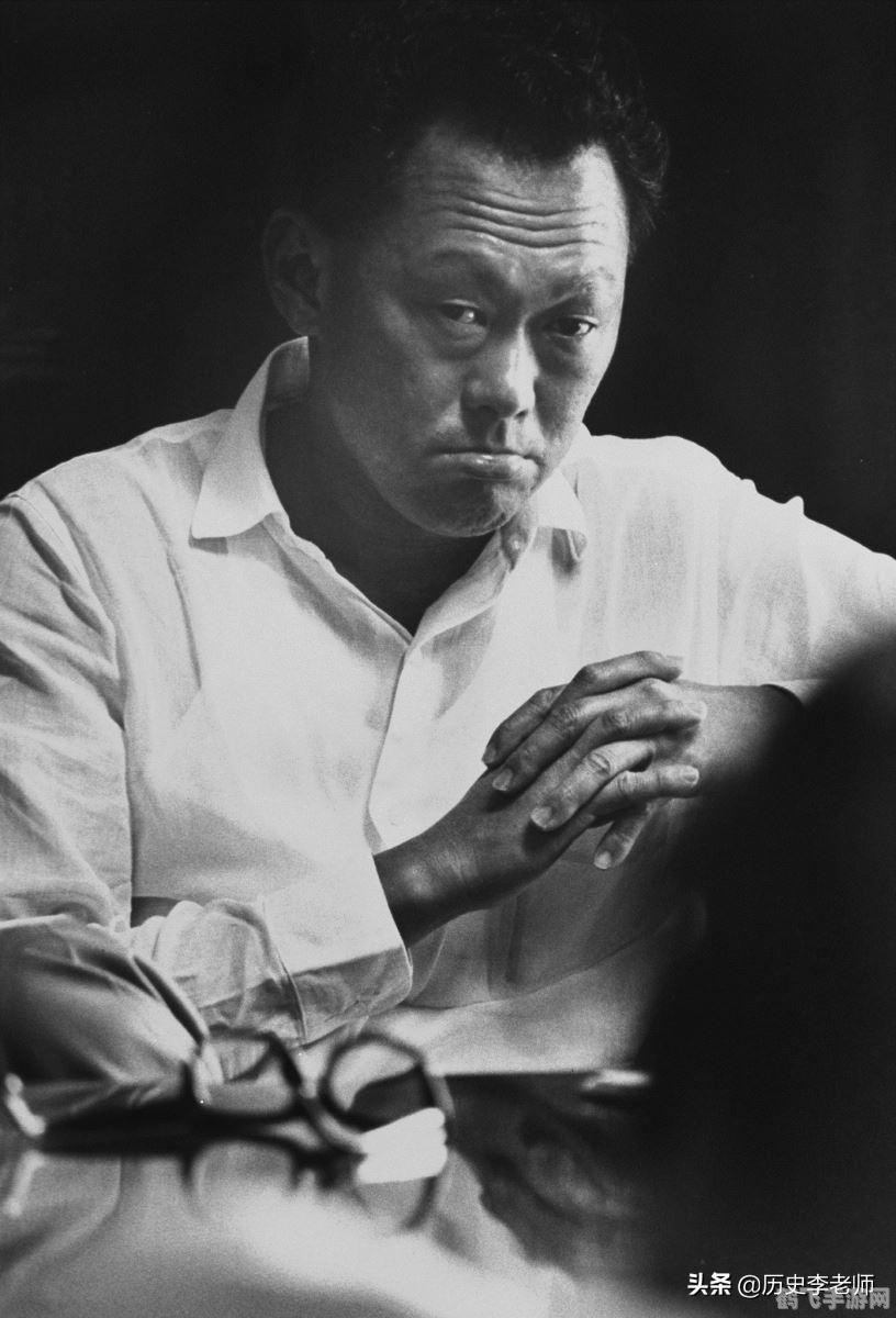 手游求生指南，玩转危机，挽救你的游戏生命！