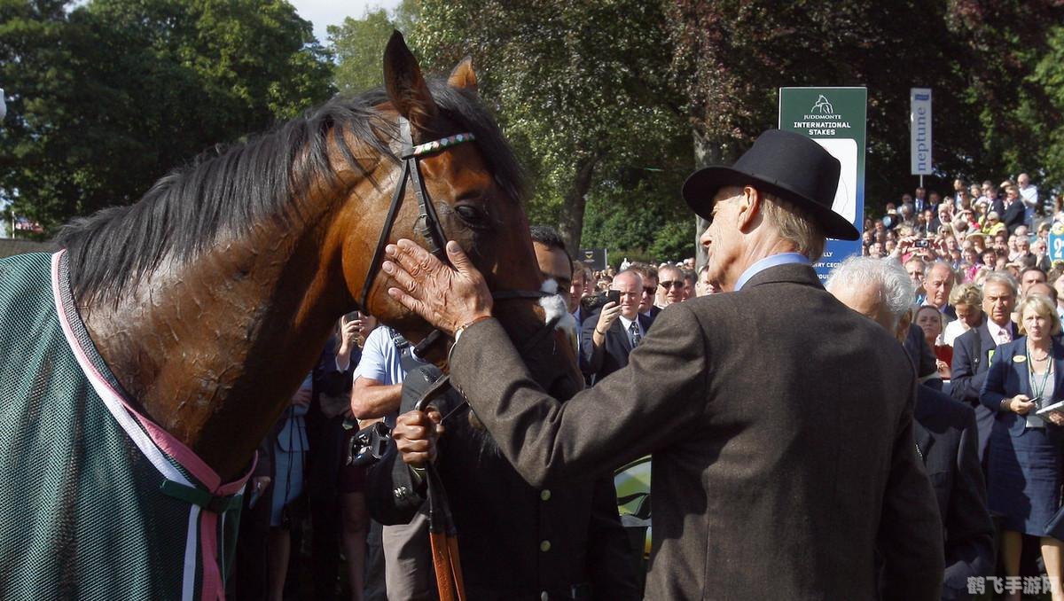 153单职业传奇网，手游攻略与玩法大揭秘