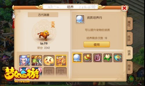 4399小游戏造梦西游,造梦西游手游攻略，打造你的西游传奇！