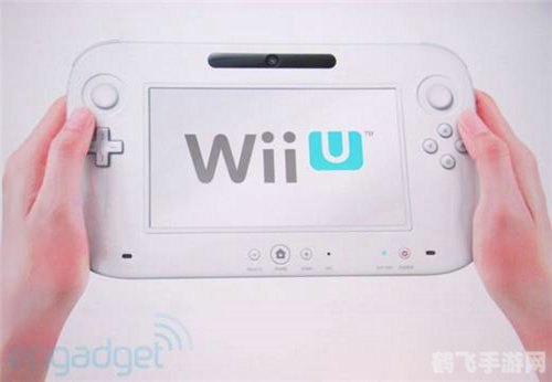 任天堂Wii手游版探秘,玩法攻略与技巧大揭秘