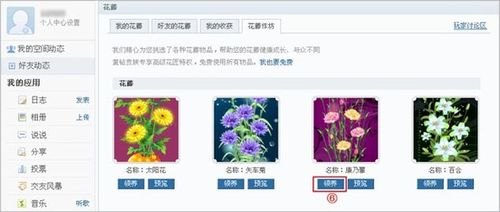 qq空间花藤,QQ空间花藤，打造你的梦幻花园