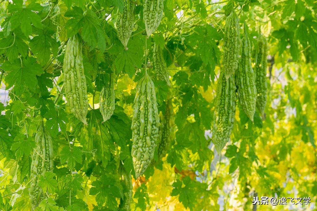 趣购购物商城,趣购特色