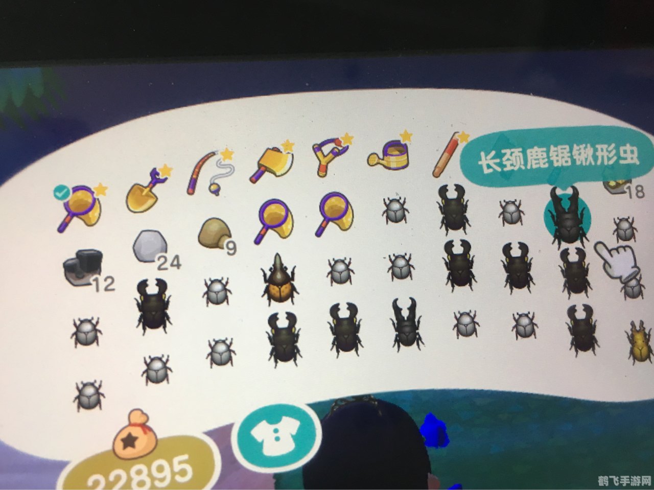 QQ珊瑚虫版,掌握捕虫技巧,成为昆虫大师