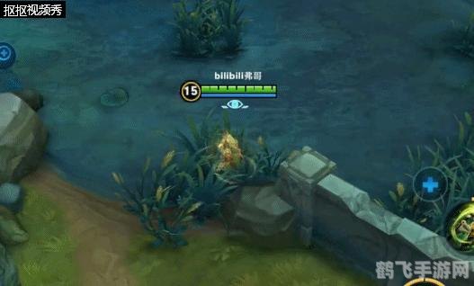 QQ宠物手游攻略,玩转宠物辅助,快速提升宠物实力