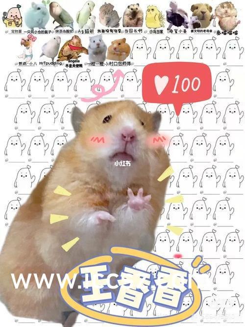 歪歪漫画登录页面免费漫画入口首页漫,歪歪漫画