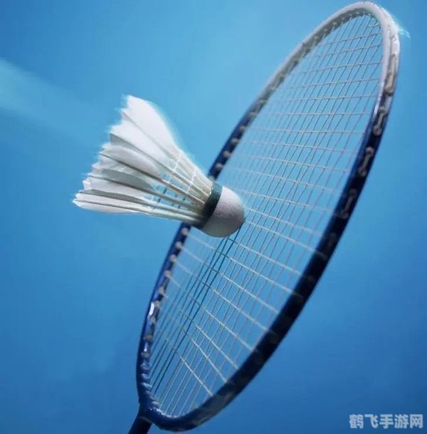 羽毛球之巅,技巧与策略全解析