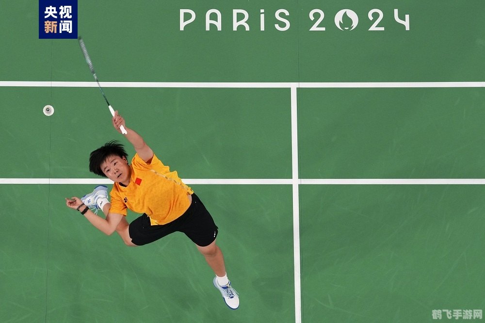 羽毛球之巅，技巧与策略全解析