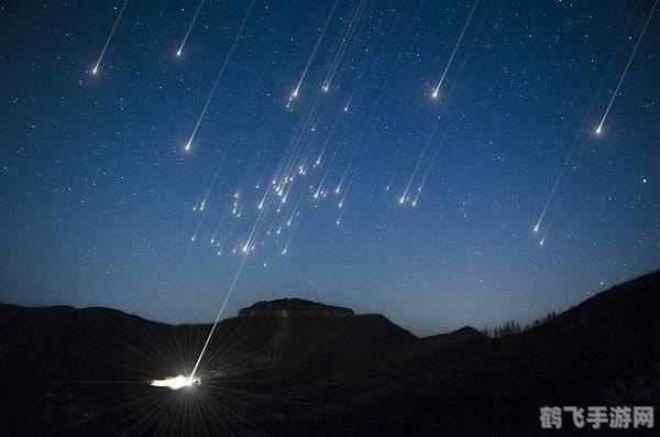 探索未知植物，解锁手游新玩法！