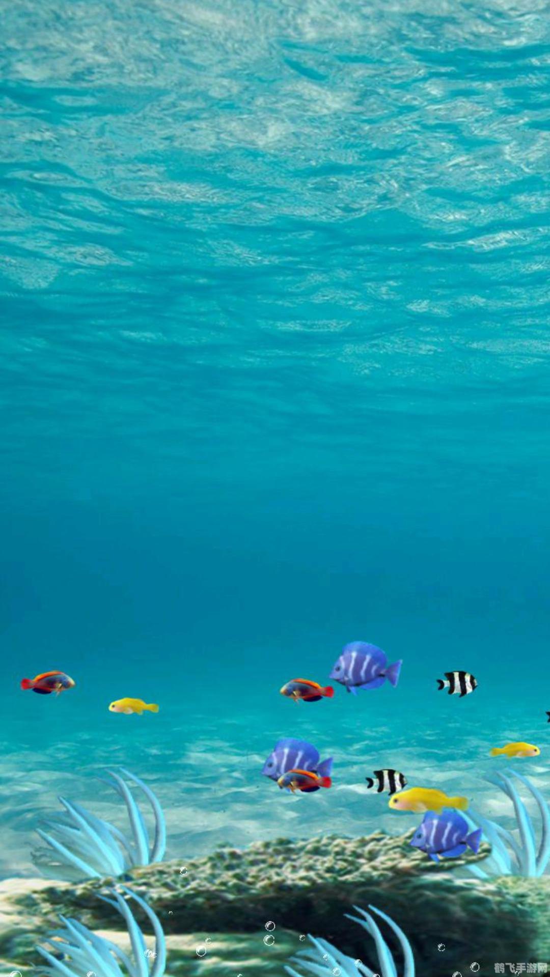 海底动态壁纸,海底奇景再现!探秘神秘海底动态壁纸