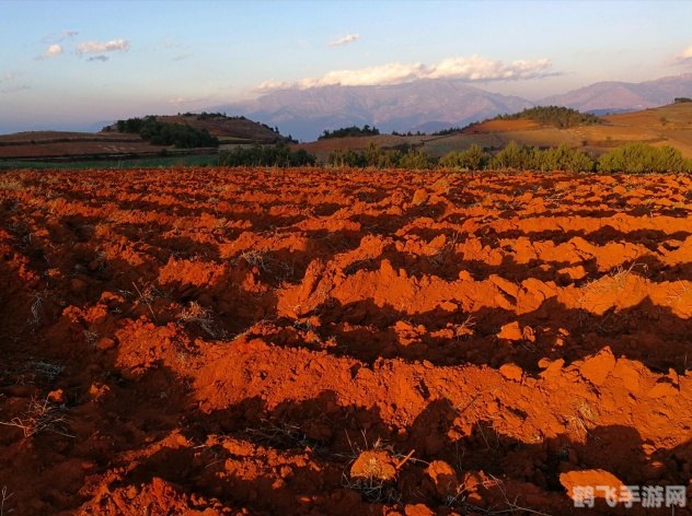红土地升级攻略,价格与效益分析