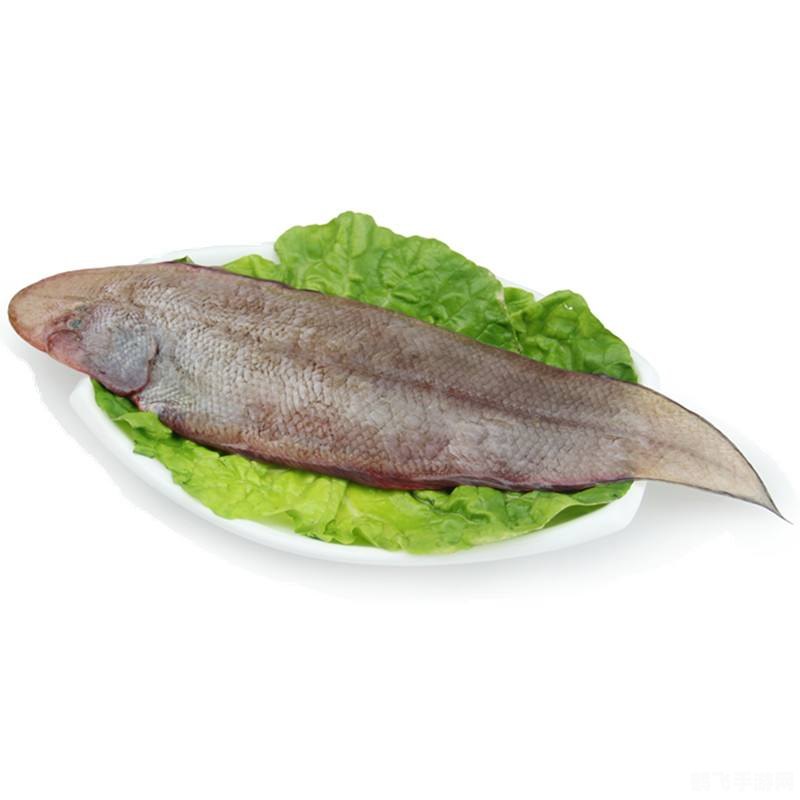 鳎目鱼是龙利鱼还是巴沙鱼,鳎目鱼