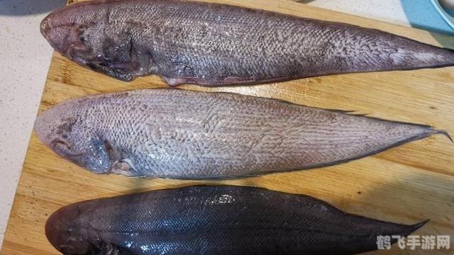 鳎目鱼是龙利鱼还是巴沙鱼,鳎目鱼