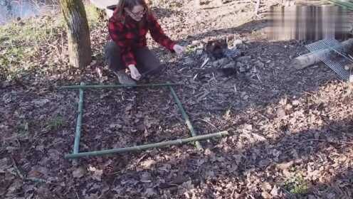 荒野求生陷阱,荒野求生，陷阱大师的生存法则