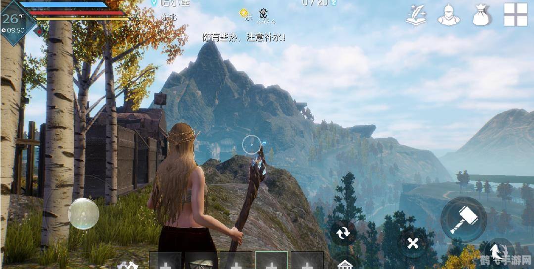 抛开事实不谈,梦幻仙境手游,抛开事实,探索奇幻之旅的攻略与玩法