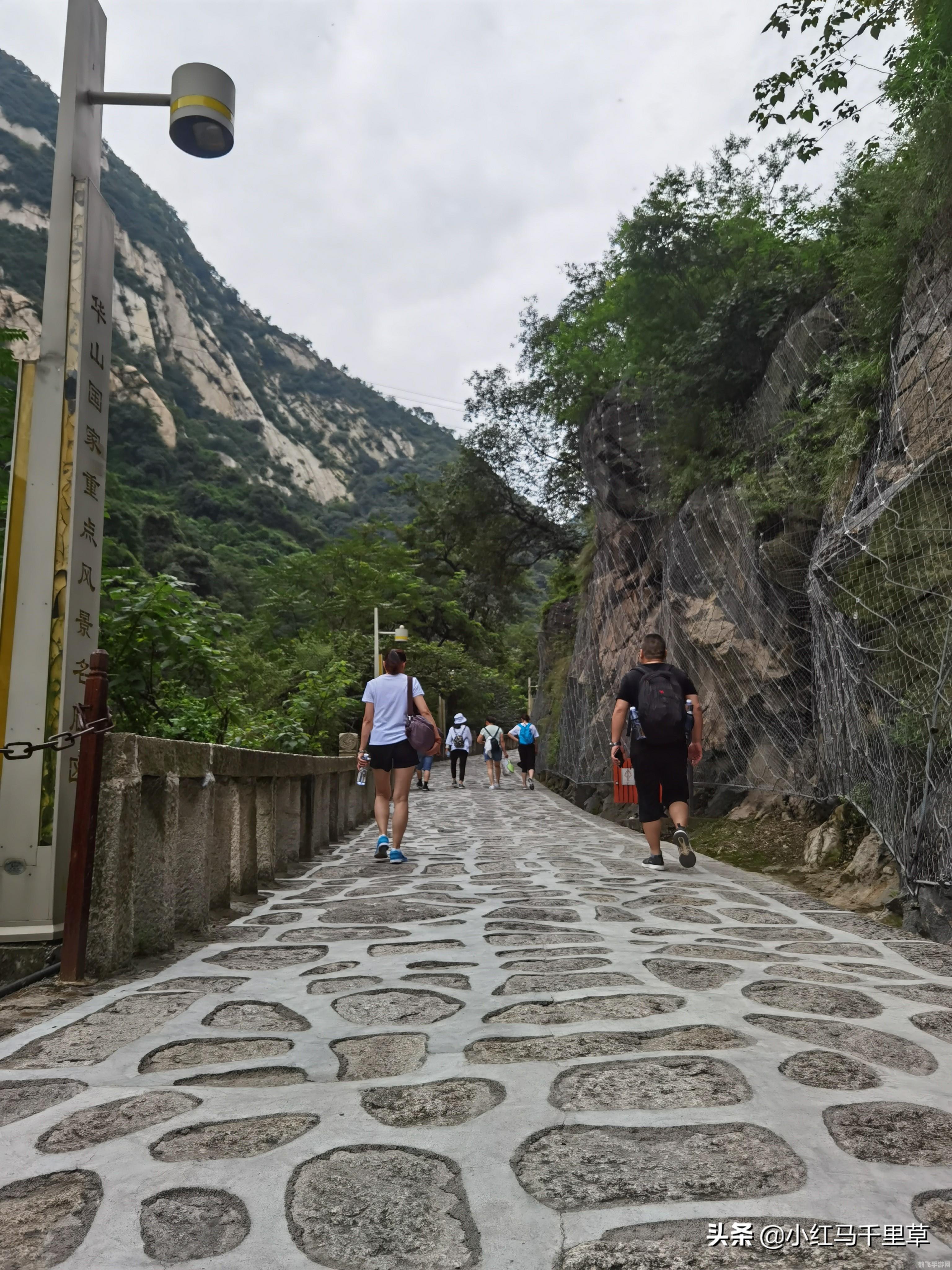 网游一统天下,网游一统天下手游攻略，征战四方，成就霸业