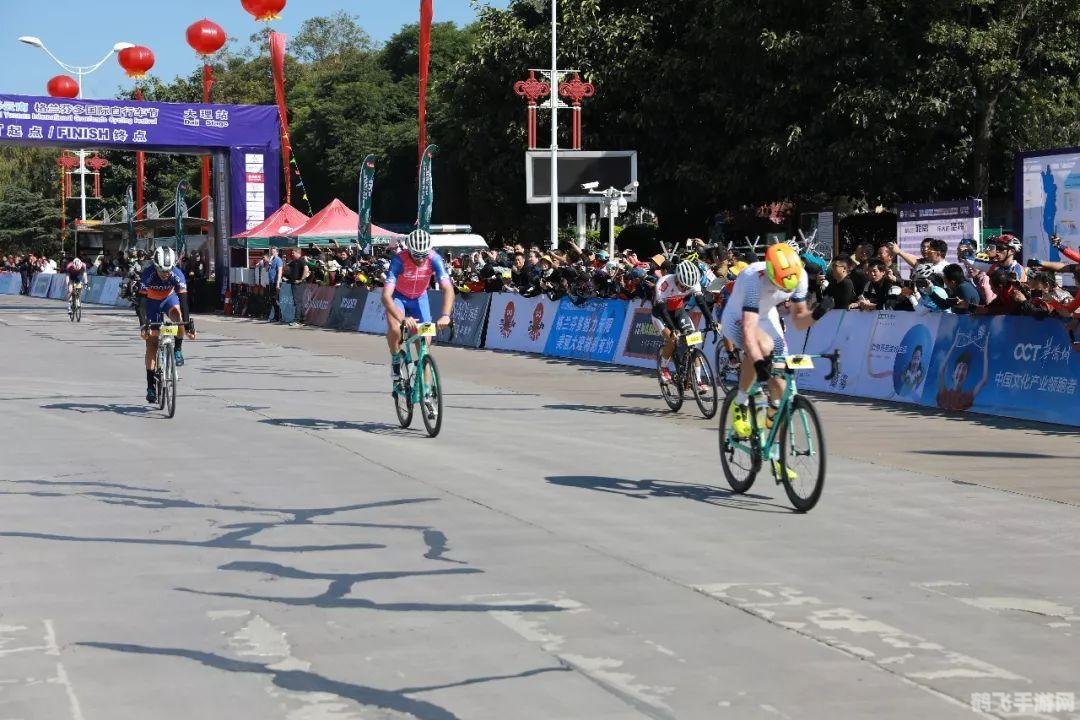 qq飞车精简版,QQ飞车精简版手游攻略，驰骋赛道的秘诀