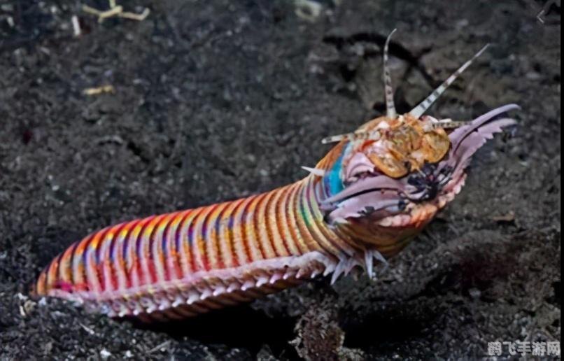 猎鱼高手游戏机,猎鱼高手游戏机——深海狩猎新体验