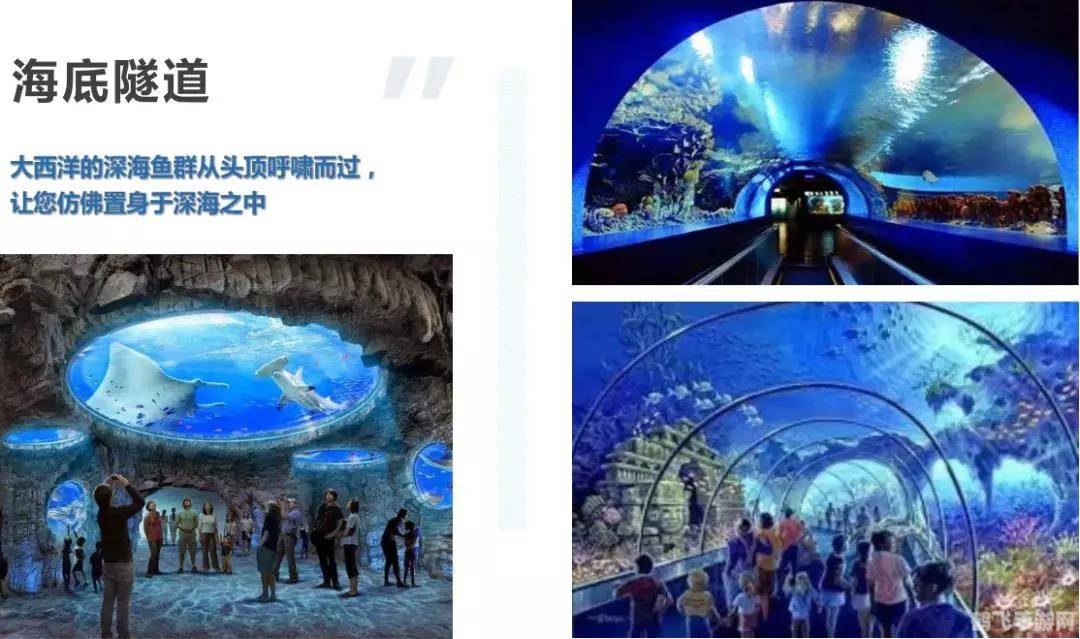 梦幻珊瑚海,海洋生物