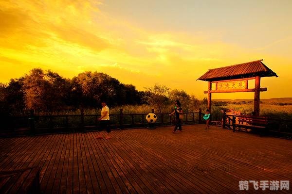 大话西游客户端,大话西游手游深度玩法与攻略，畅游西游世界