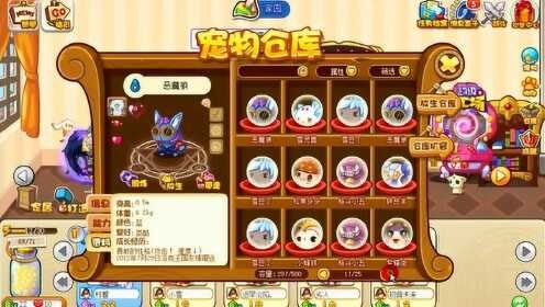 洛克王国宠物蛋交易市场,洛克王国宠物蛋交易市场探秘