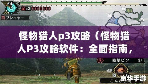 怪物猎人p3数据库,怪物猎人P3深度攻略，狩猎技巧与必备知识