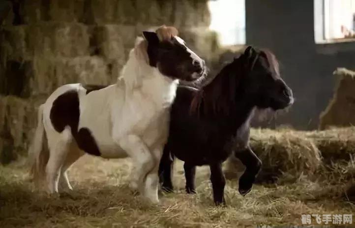 芭比之飞马魔法,芭比之飞马魔法手游攻略，驰骋魔法世界，解锁飞马之力！