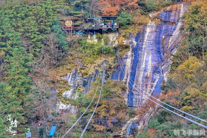 七人头上长草打一字,七人头上长草之谜，手游XX仙境独特玩法攻略