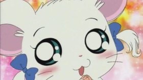 哈姆太郎表情,哈姆太郎