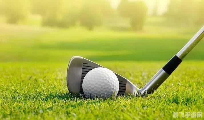 模拟高尔夫,模拟高尔夫— 逐洞挑战,尽享高尔夫魅力!